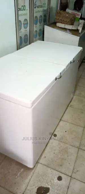 Ramtons Double Door Freezer