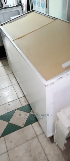 Double Door Freezer