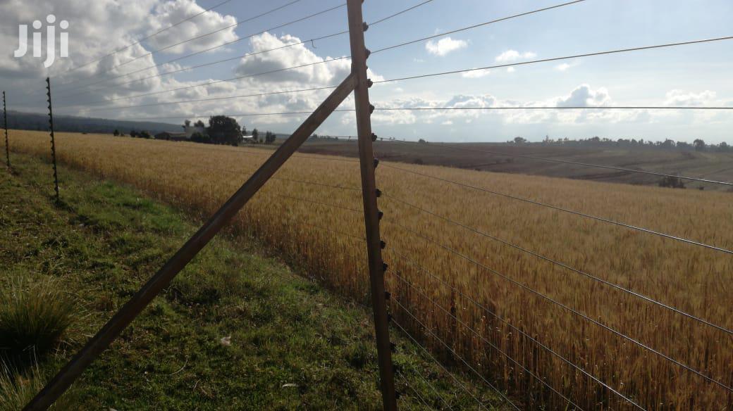 Prime Land for Sale