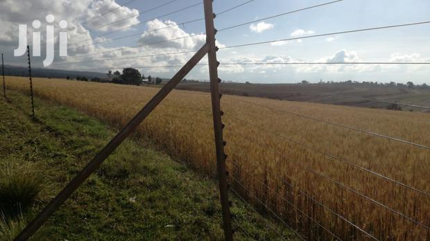 Prime Land for Sale - thumbnail 3