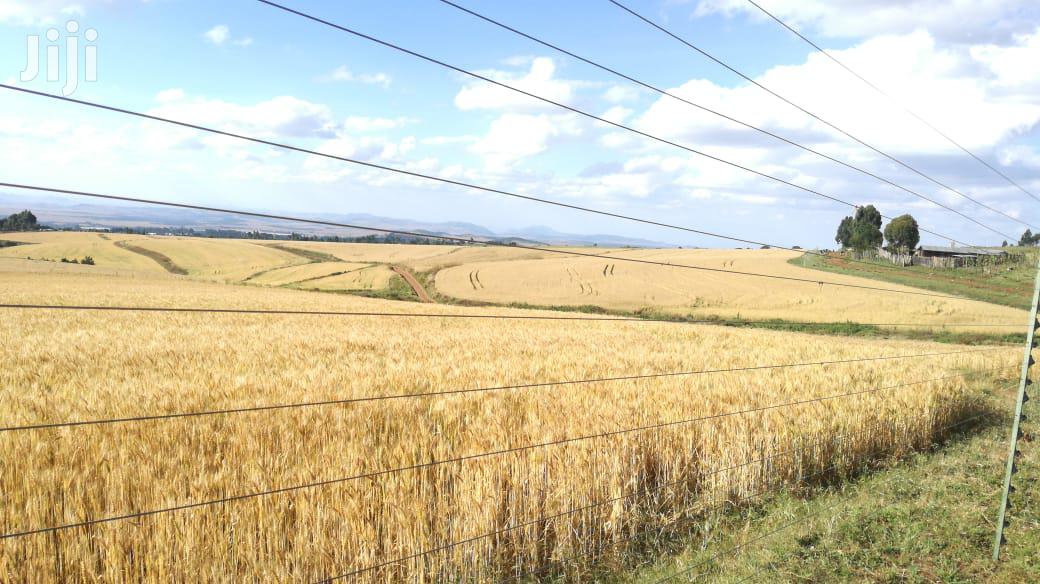 Prime Land for Sale