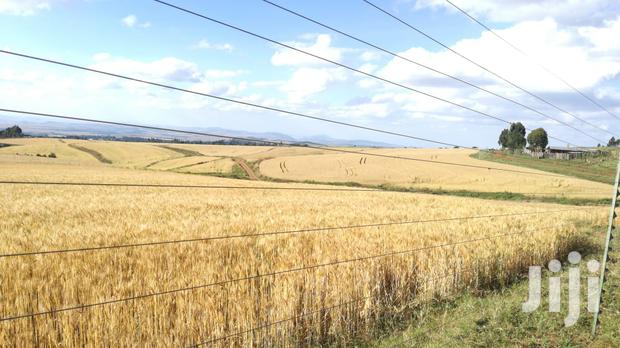 Prime Land for Sale - thumbnail 4