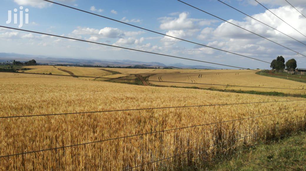 Prime Land for Sale