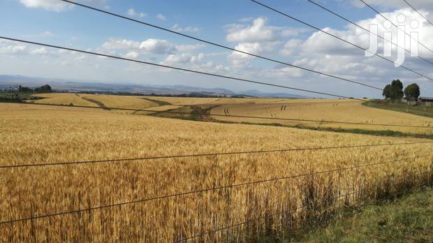 Prime Land for Sale - thumbnail 5