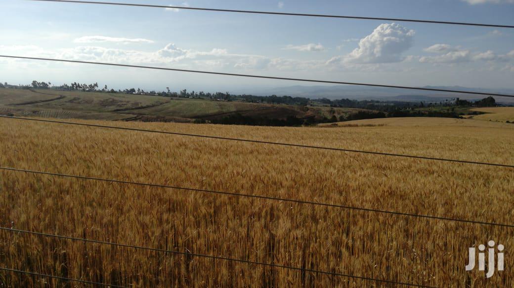 Prime Land for Sale