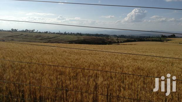 Prime Land for Sale - thumbnail 6