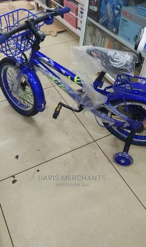 Junior Boys and Girls Bike Size 20