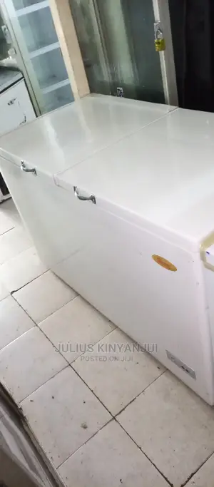 Double Door Freezer 600L