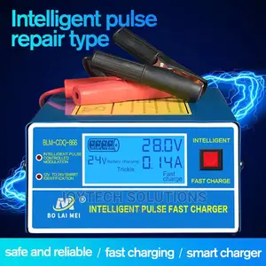BATTERY Charger 12, 24 Vts