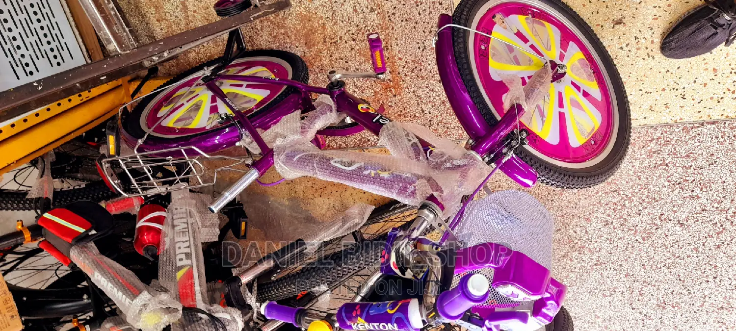 Premier Bicycle Size 20