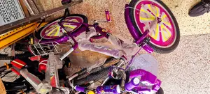 Premier Bicycle Size 20