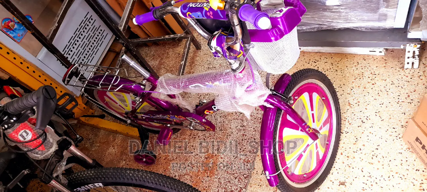 Premier Bicycle Size 20