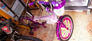 Premier Bicycle Size 20