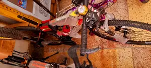 Premier Bicycle Size 26