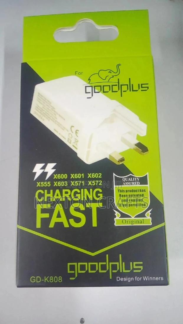 Goodplus Double Charge Fast Charger - main view
