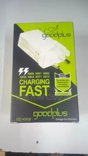 Goodplus Double Charge Fast Charger