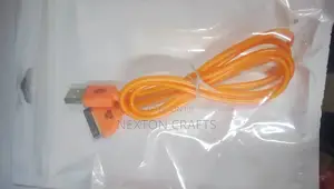 iPhone 4 Charging Cable