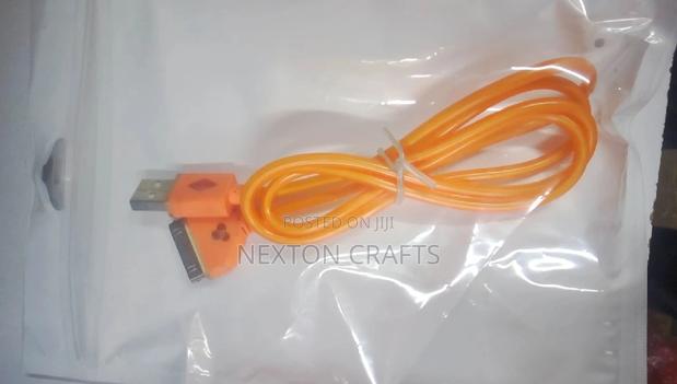 iPhone 4 Charging Cable - thumbnail 2