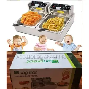 12 Litres Commercial Double Deep Fryer