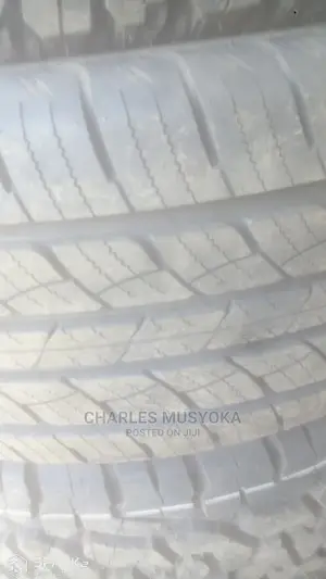 255/55 R 19