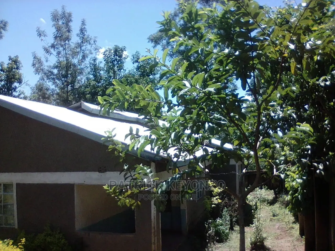 (50×100) Good Plot With an Old 3bedroomed Bungalow ON SALE