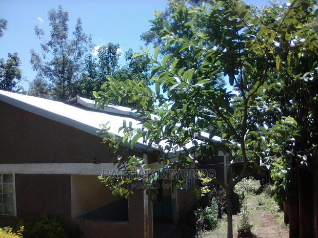 (50×100) Good Plot With an Old 3bedroomed Bungalow ON SALE