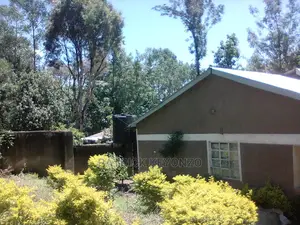 (50×100) Good Plot With an Old 3bedroomed Bungalow ON SALE
