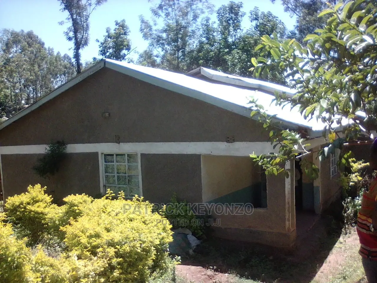 (50×100) Good Plot With an Old 3bedroomed Bungalow ON SALE