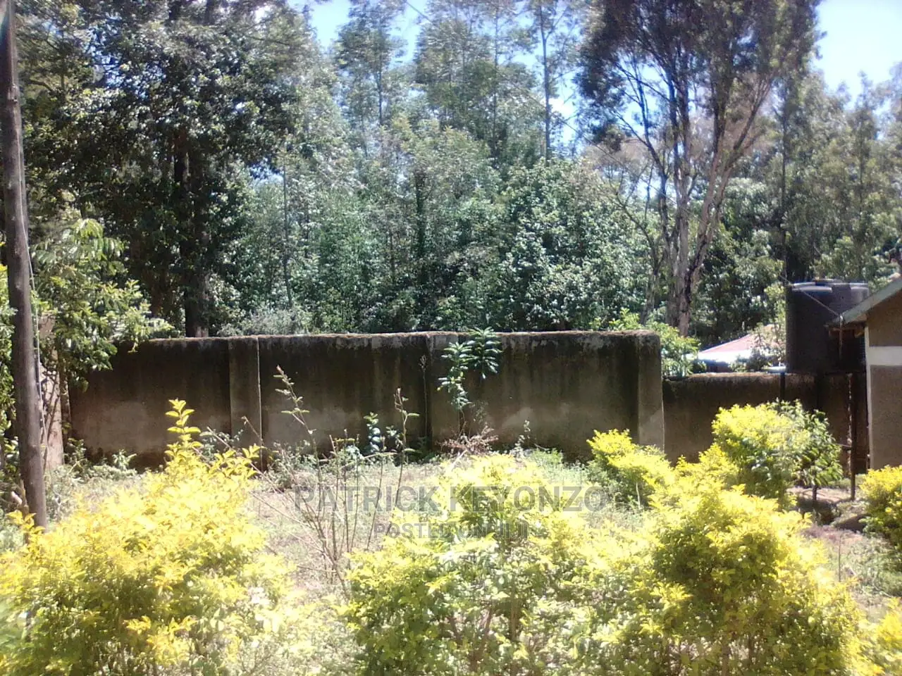 (50×100) Good Plot With an Old 3bedroomed Bungalow ON SALE