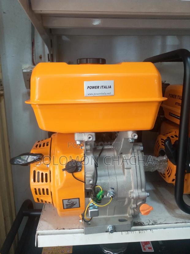 Power Italia 12hp Motor Engine - main view