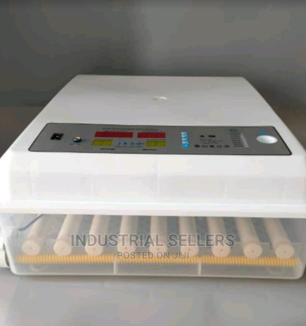 Commercial 56 Automatic Incubator - main view