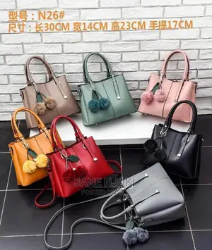 Ladies Handbag