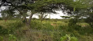 10 Acres of Beautiful Lush Land in Kajiado