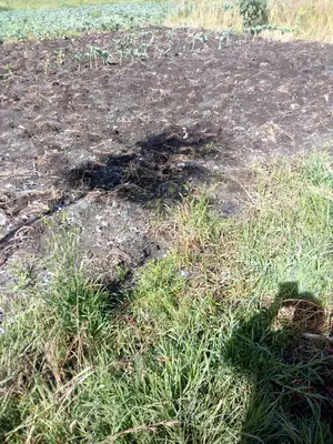 Plots on Sale at Karati Naivasha