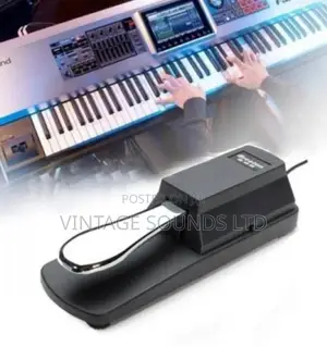 Wtb 005 Sustain Pedal For Keyboards Musedo