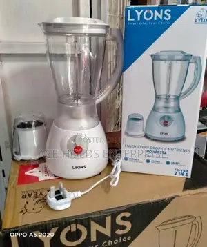 Lyons 2 in 1 Blender