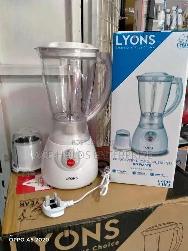 Best 2 in 1 Lyons Blender