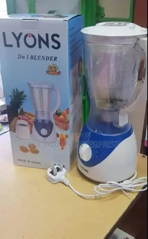Best 2 in 1 Lyons Blender
