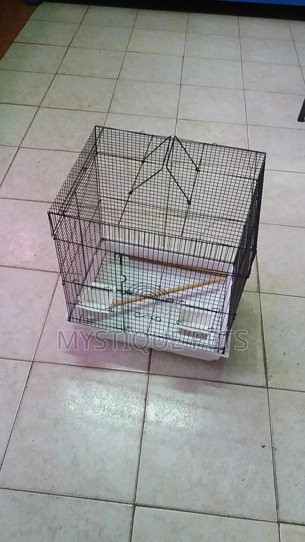 Love Birds Cage - main view