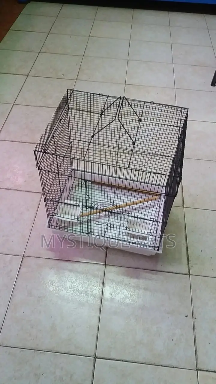 Love Birds Cage