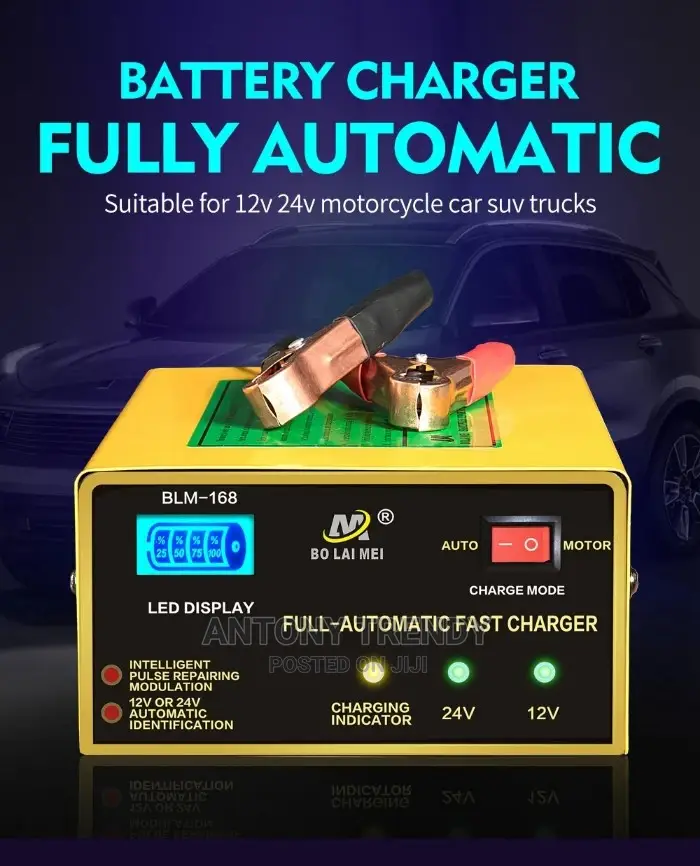 Lead Acid Battery Charger Pulse Repair Intelligent