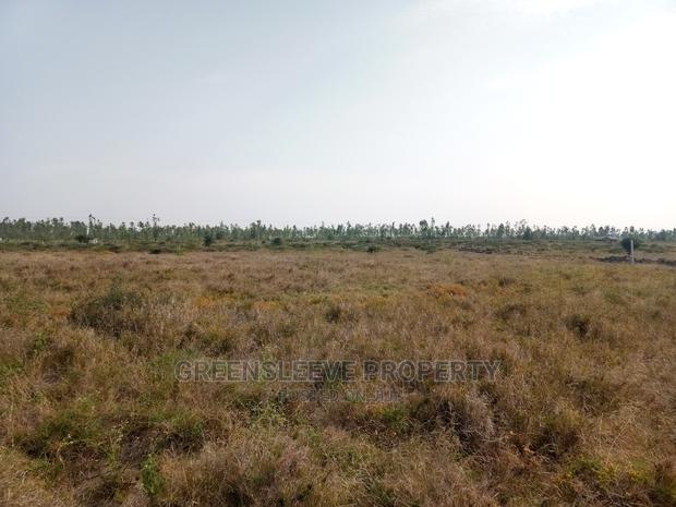 5 Acre Land for Sale - thumbnail 4
