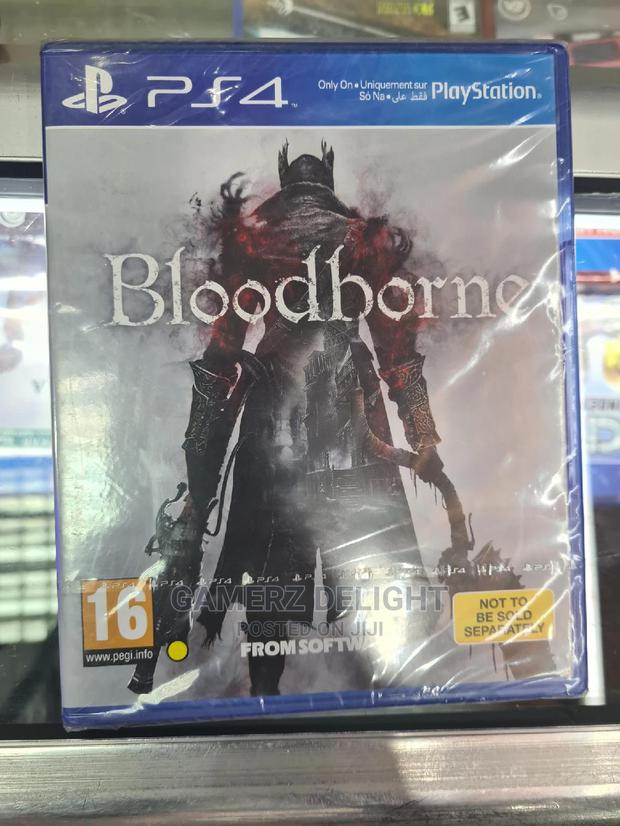 Bloodborne - main view