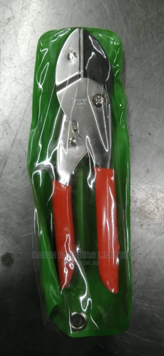 SECATEURS (For Pruning)