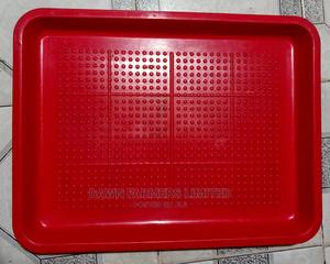 Chicken Feeding Trays - main view
