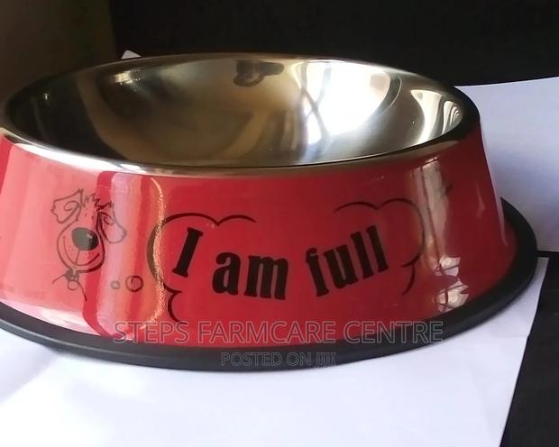 Dog Feeders - main view