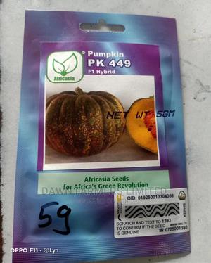 Pumkin Ph 449 F1 Hybrid - main view