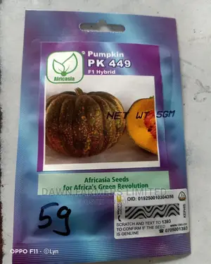 Pumkin Ph 449 F1 Hybrid