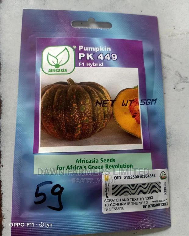 Pumkin Ph 449 F1 Hybrid