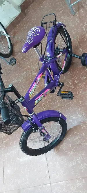 Girl's Bike Size 16 Purple Colour